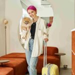 Why Cat Boarding Hotel in Dubai Are Perfect for Extended Travel