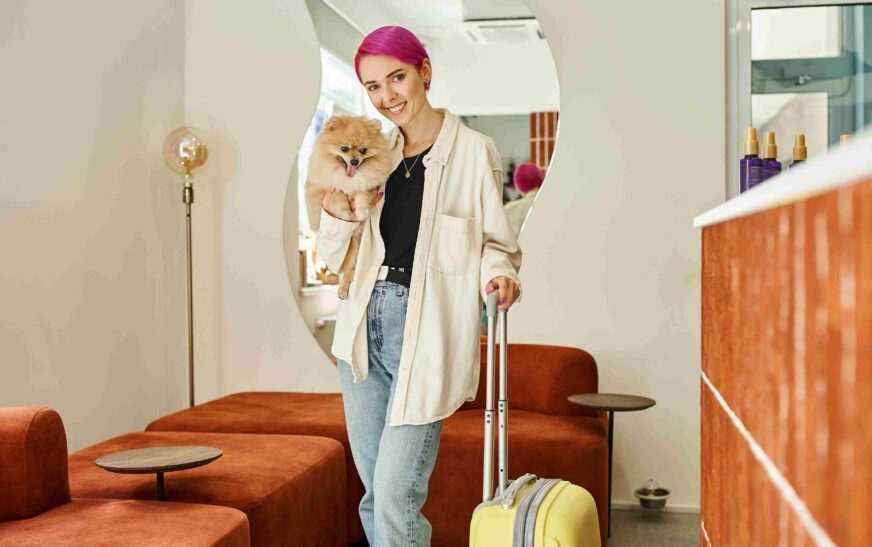 Why Cat Boarding Hotel in Dubai Are Perfect for Extended Travel