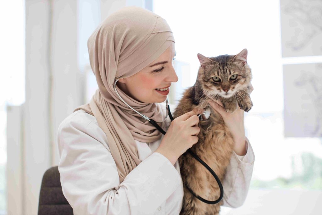 Why Cat Boarding Hotel in Dubai Are Perfect for Extended Travel
